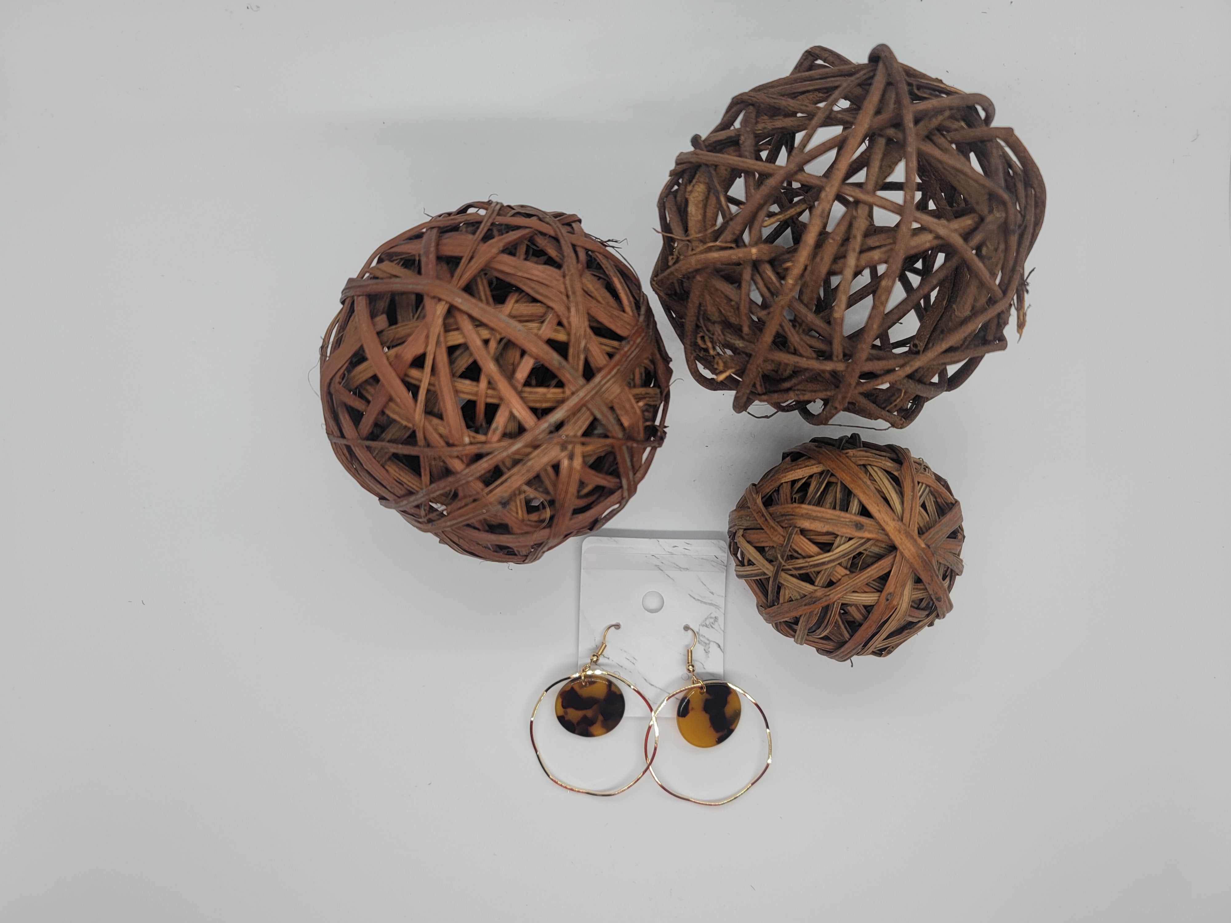 Earrings
